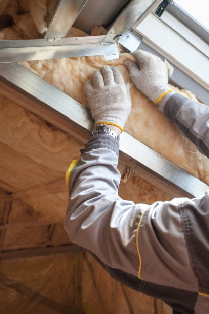 Types of Insulation We Offer in Mount Vernon, MD